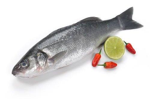 新鲜鲈鱼-每公斤Fresh Seabass/per kg 整条（每条500g左右） 周五新鲜到货