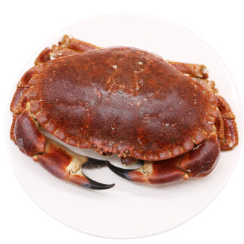 面包蟹每公斤-Brown Crab /per Kg（每只500g-600g