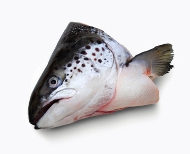 三文鱼头*每公斤/ Head of Salmon*per/kg