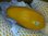 木瓜每公斤 Papaya /Per kg每个800g左右