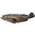 新鲜石斑鱼*1kg Blacktip Grouper*1kg 800g左右