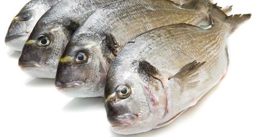 新鲜腊鱼每公斤Fres Seabream /per kg  需刮鳞清理内脏服务附加1.00费用请选该商品
