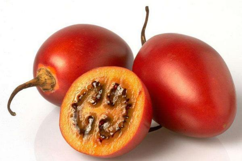 树蕃茄 Tamarillo 每公斤 每个100g左右(3个一袋装）
