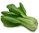 新鲜上海青白菜每公斤 Fresh Green Pak Choi/ Per kg（每包500g左右）