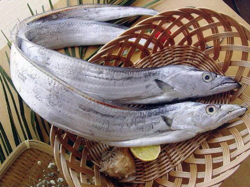 新鲜冷冻牙带鱼-每公斤Fresh Ribbonfish/per kg(每条800g左右）