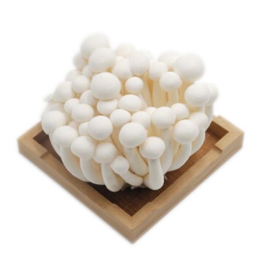 白玉菇（姬菇） *150g White  shimeji mushroom