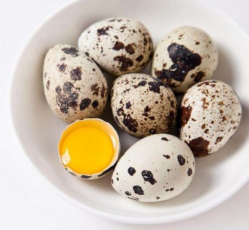 新鲜鹌鹑蛋-12pc Fresh Quail Eggs- 保质期：26/05/22