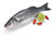 新鲜鲈鱼-每公斤Fresh Seabass/per kg 每条预计500g（需刮鳞清理内脏服务附加1.00费用每条鱼 ）请选该商品