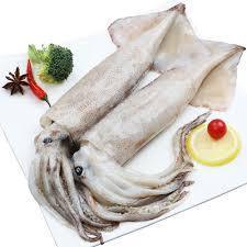 冷冻鱿鱼每公斤Fresh Squid /Per kg （每条600g左右）