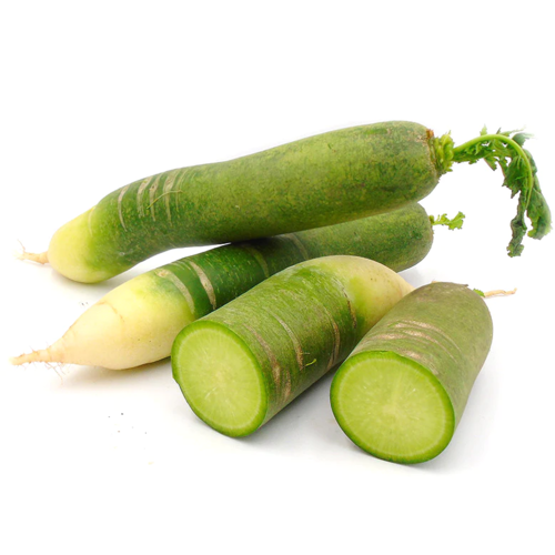 青萝卜每公斤 Green  Radish Mooli /Per kg （每根500g左右
